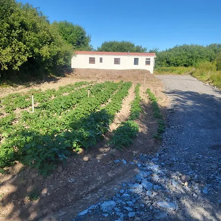 Hayesland Homes * Tagoat