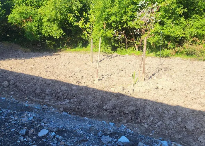 Hayesland Кемпинг *